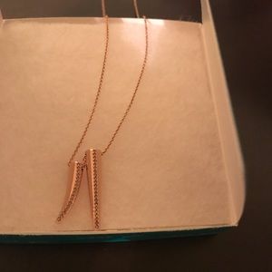 Stella & Dot Double Pave Horn Pendant